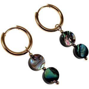 ∅16mm Oorringen Dames - Natuurlijke Multicolor Abalone Schelp - Verguld RVS - Oorbellen met Twee Abalone Schelp