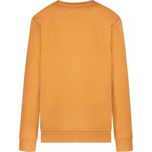 Cars Jeans Sweater Banly Jr. - Meisjes - CAMEL - (maat: 176)