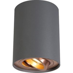 QAZQA rondoo up - Design Dimbare LED Smart Plafondspot | Spotje | Opbouwspot incl. wifi met Dimmer - 1 lichts - Ø 95 mm - Grijs - Woonkamer | Slaapkamer | Keuken