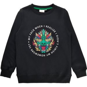 The New sweater jongens - donkerblauw - TNingvald TN5250 - maat 158/164