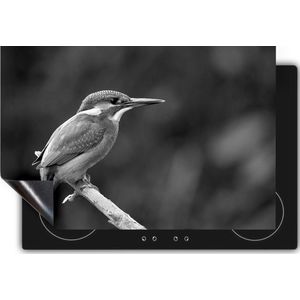 Chefcare Inductie Beschermer Blauwe IJsvogel op een Tak - Zwart Wit - 65x55 cm - Afdekplaat Inductie - Kookplaat Beschermer - Inductie Mat