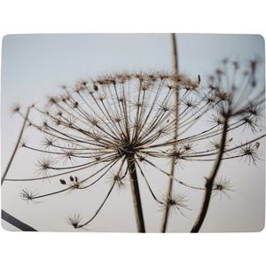 Placemats Natuur Berenklauw (Set van 4)