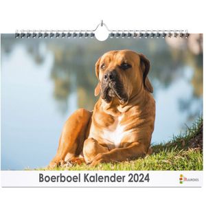 Huurdies - Boerboel Kalender - Jaarkalender 2024 - 35x24 - 300gms