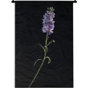 Wandkleed Planten op een zwarte achtergrond - Een paars gekleurde violette op een zwarte achtergrond Wandkleed katoen 60x90 cm - Wandtapijt met foto