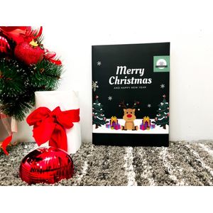 Cavlicious® - honden adventskalender - 24 leuke hebbedingetjes voor hond en baasje - kleine honden