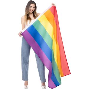 Smiffys - Pride Rainbow Vlag - Regenboog