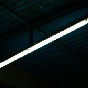 Tube Néon LED T8 120cm 12W (Pack de 25) - Blanc Neutre 4000K - 5500K