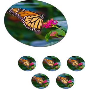 Onderzetters voor glazen - Rond - Vlinders - Bloem - Natuur - 10x10 cm - Glasonderzetters - 6 stuks