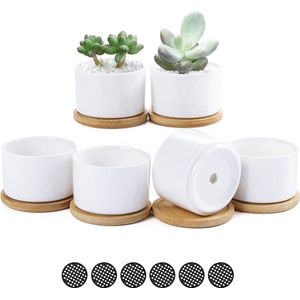 Bloempot 81 cm keramische witte plantenpotten - mini-vetplantenpotten met bamboe dienblad en gaaspad - thuiskantoordecoratie - 6 stuks