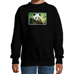 Dieren sweater met pandaberen foto - zwart - voor kinderen - natuur / panda cadeau trui - kleding / sweat shirt 98/104