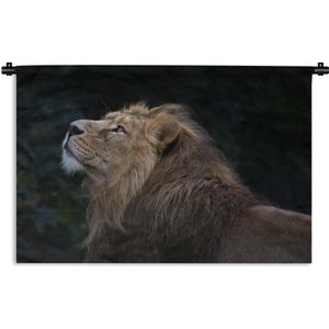 Wandkleed Leeuw - nieuw - Leeuw kijkt omhoog op een zwarte achtergrond Wandkleed katoen 180x120 cm - Wandtapijt met foto XXL / Groot formaat!