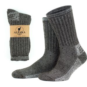 GoWith-2 paar-alpaca wollen sokken-diabetes wollen sokken-volledige badstof-huissokken-thermosokken-cadeau sokken-maat 39-42