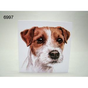 Wenskaart + envelop Parson Jack Russel