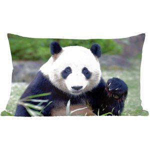 Sierkussen Panda voor binnen - Reuzenpanda - 60x40 cm - rechthoekig binnenkussen van katoen
