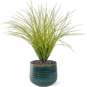 Kunst Grasplant 50cm - lichtgroen