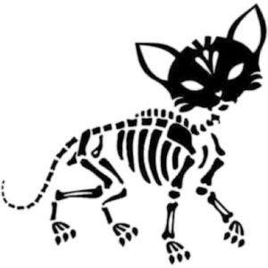 Sticker - Kat Skelet - Halloween - 20x15cm - WIT