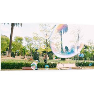 WallClassics - PVC Schuimplaat - Park met Palmbomen en Bellenblaas - 100x50 cm Foto op PVC Schuimplaat (Met Ophangsysteem)