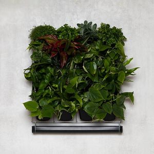 Mijn Verticale Tuin - Voor Binnen - Compleet Startpakket (Medium) 60cm x 60cm - 16 Bakjes - Plantenbak aan de muur - Groene wand - Groene muur - Verticale Moestuin - Balkonbak - Plantenmuur - Muurtuin