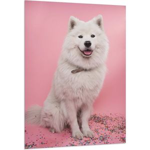 WallClassics - Vlag - Portret van Witte Hond tegen Roze Achtergrond met Confetti - 100x150 cm Foto op Polyester Vlag