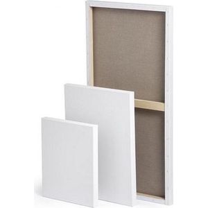 CO Professional Canvas 80x80 Schildersdoek 6 stuks