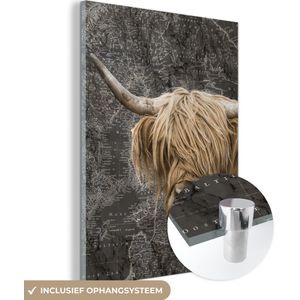 MuchoWow® Glasschilderij 30x40 cm - Schilderij acrylglas - Schotse hooglander - Wereldkaart - Dieren - Foto op glas - Schilderijen