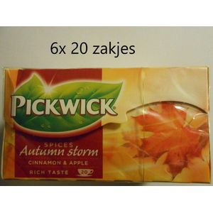 Pickwick thee - Autumn storm - kaneel-appel - multipak 6x 20 zakjes