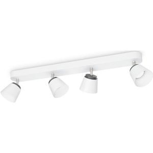 Philips myLiving Dender white LED Spot light