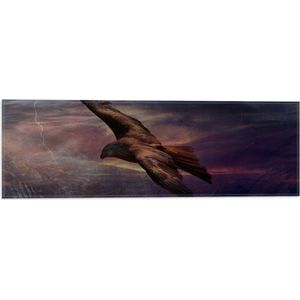 WallClassics - Vlag - Golden Eagle Vliegend - 60x20 cm Foto op Polyester Vlag