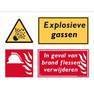 Gevaar, explosieve gassen / In geval van brand flessen verwijderen! - Bord 300 x 400 mm - (Forex)