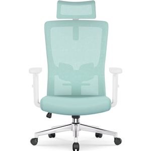 Ergonomische Bureaustoel - Bureaustoel - Bureaustoelen voor Volwassenen - met Verstelbare Hoofdsteun, Armleuningen en Lendensteun - 150 Kg - Blauwgroen
