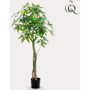 Kunstplant - Pachira Aquatica - Geldboom - 150 cm