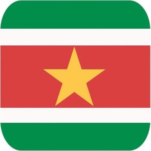 30x Bierviltjes Surinaamse vlag vierkant - Suriname feestartikelen - Landen decoratie