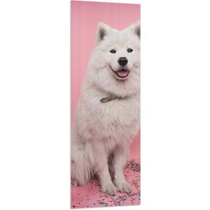 WallClassics - Vlag - Portret van Witte Hond tegen Roze Achtergrond met Confetti - 50x150 cm Foto op Polyester Vlag
