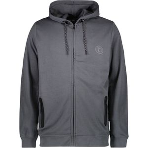 Cars Iscar Hooded Vest Heren - Maat S