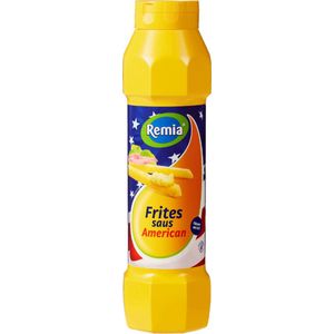 Remia American Fritessaus tube 800ml