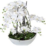 Kopu® Kunstbloem Volle Orchidee 68 cm Wit met Schaal - Phalenopsis