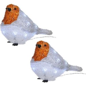 Set van 2x stuks kerstverlichting figuren voor buiten - Verlichte roodborstje LED 20 lampjes - 21 cm - Koel wit