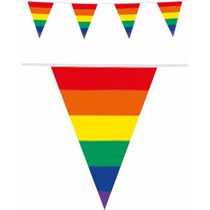 Set van 2x stuks regenboog kleuren thema vlaggenlijn/vlaggetjes 10 meter - Feestartikelen/versieringen