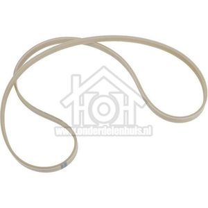 Hutchinson V-snaar 1210 PJE J5 TEM Zanker 8121-EW 1231T 1290775400