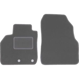 Automatten voor: Renault Scenic II minivan (2003-2009)