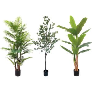 Kunstplantenpakket Go Big Or Go Home - Grote kunstplantenpakket | Kunstplanten voor Binnen | Kunstpalm 180cm, Kunst Bananenplant 180cm, Eucalyptus Kunstboom 180cm