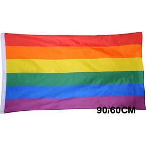 CHPN - Vlag - Regenboogvlag - Pride vlag - Rainbow flag - Pride - LHTBI - Trots - 90/60CM - Kleine vlag - Kleine regenboogvlag