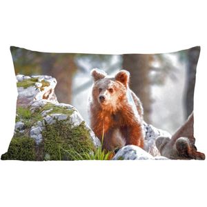 Sierkussens - Kussen - Bruine beer in het zonlicht - 50x30 cm - Kussen van katoen