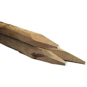 Robinia ronde paal 8-12cm 250cm