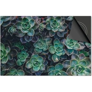 Inductie beschermer 77x51 - afdekplaat inductie mat - Dietrix Kookplaat beschermer - DELUXE - Bloemen en Planten - Vetplantjes