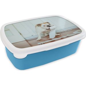 Broodtrommel Blauw - Lunchbox - Brooddoos - Hond spelend met wc-papier - 18x12x6 cm - Kinderen - Jongen