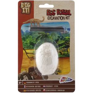 Fossil Excavation kit Egg Fossil