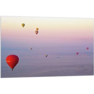 WallClassics - Vlag - Ballonvaarten in Verschillende Luchtballonnen - 105x70 cm Foto op Polyester Vlag