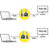 ROLINE Monitorkabel DVI (18+1) - HDMI, M/M, zwart, 2 m