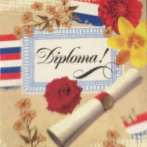 6 Luxe Geslaagd Wenskaarten - Kaart Wens Kaart Examen Geslaagd School Studie Opleiding - Gefeliciteerd Diploma - Oorkonde - 13.5x12cm - Rood Wit Blauwe Envelop - Art of Cards